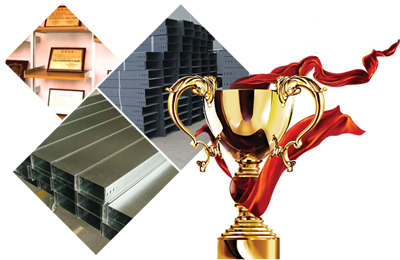 量身定制,為您定制個性化方案